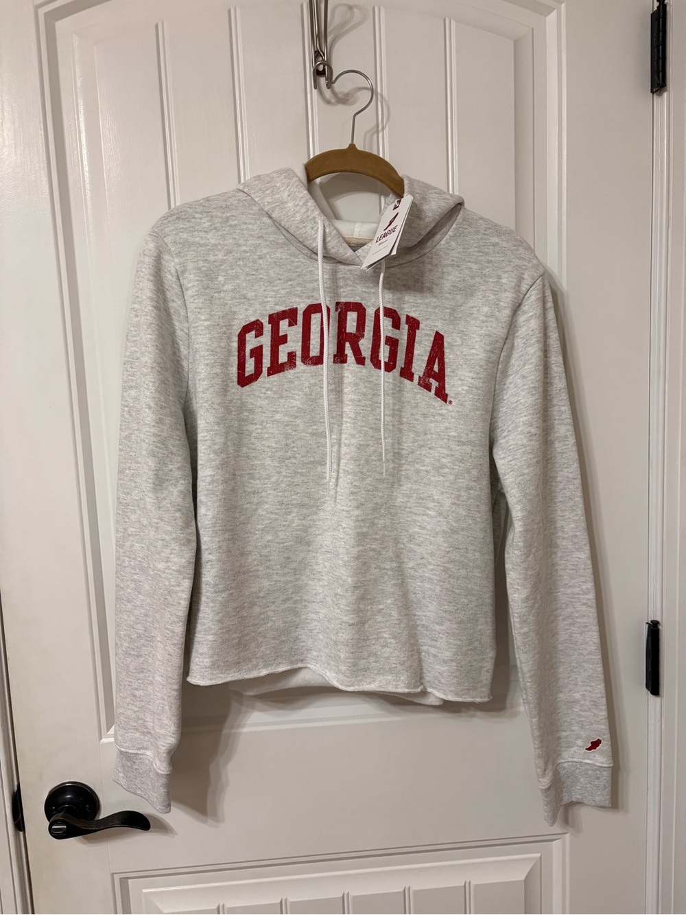 Georgia Cropped Light Gray Hoodie with Red Arch Logo